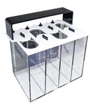 Mantis Dosing Container-1