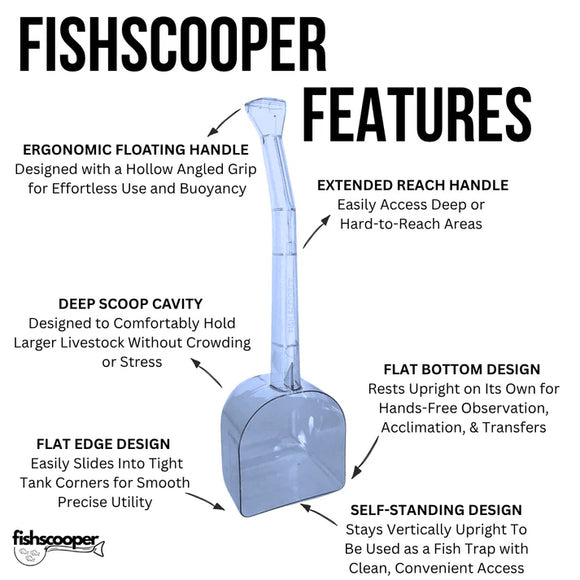 Fishscooper