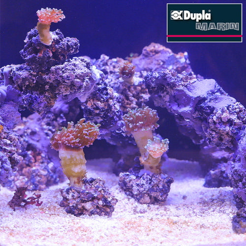 Dupla-Marin Reef Former 500G