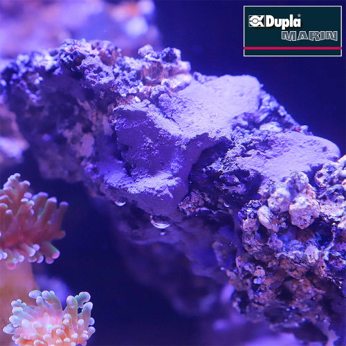 Dupla-Marin Reef Former 500G