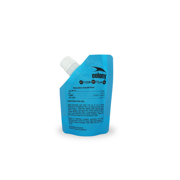 Colony Marine Nitrifying Bacteria
