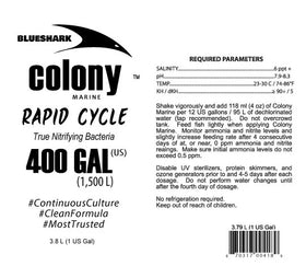 Colony Marine Nitrifying Bacteria