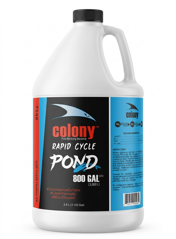 Colony Pond Nitrifying Bacteria