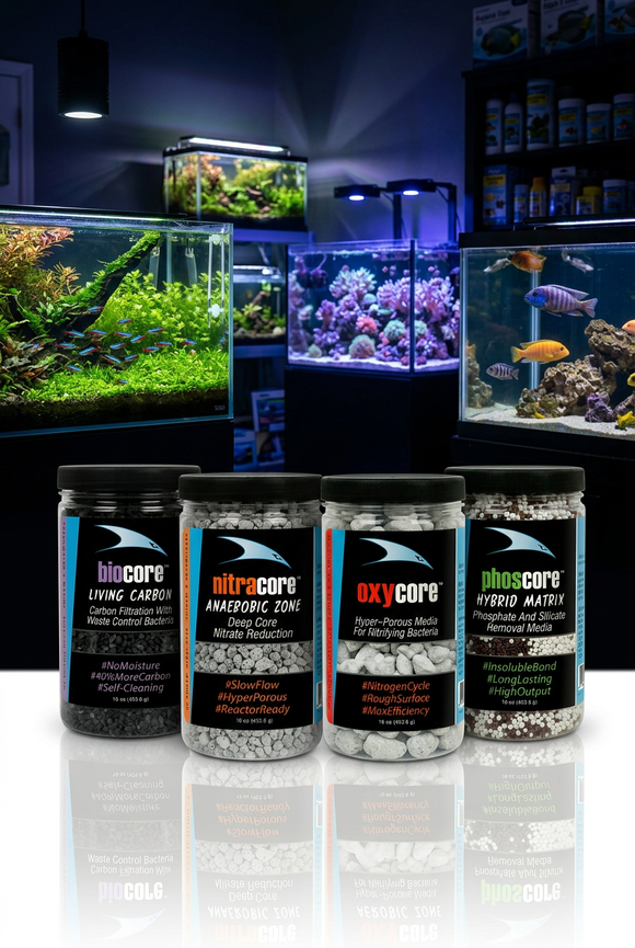 Nitracore 450G/950ML