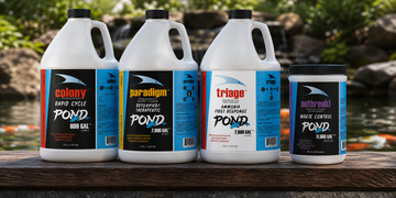 Colony Pond Nitrifying Bacteria - 0