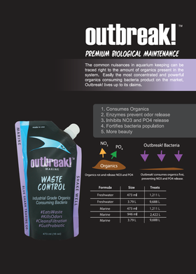 Outbreak Poster A3/A4