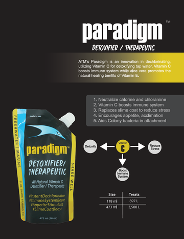 Paradigm Poster A3/A4