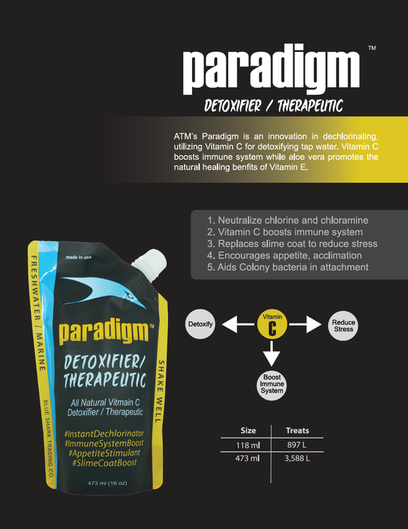 Paradigm Poster A3/A4
